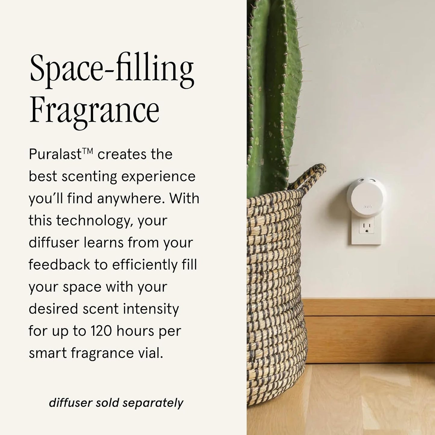 Pura & Tommy Bahama Home Scent Refill - Smart Home Air Diffuser - Up to 120-Hours of Luxury Fragrance per Refill - Home Essential - Clean & Safe Diffuser Fragrance - 2 Pack, Maui Mango