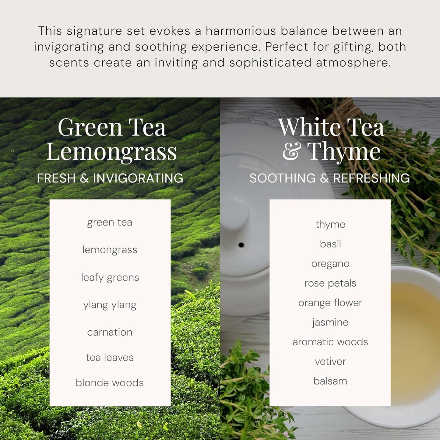 Air Esscentials The Diamond Gift Set, Smart Scent Air Machine for Home with Refreshing Herbal & Citrus Aromas, Waterless Fragrance Oil Diffuser, White Tea & Thyme, Green Tea Lemongrass, Black