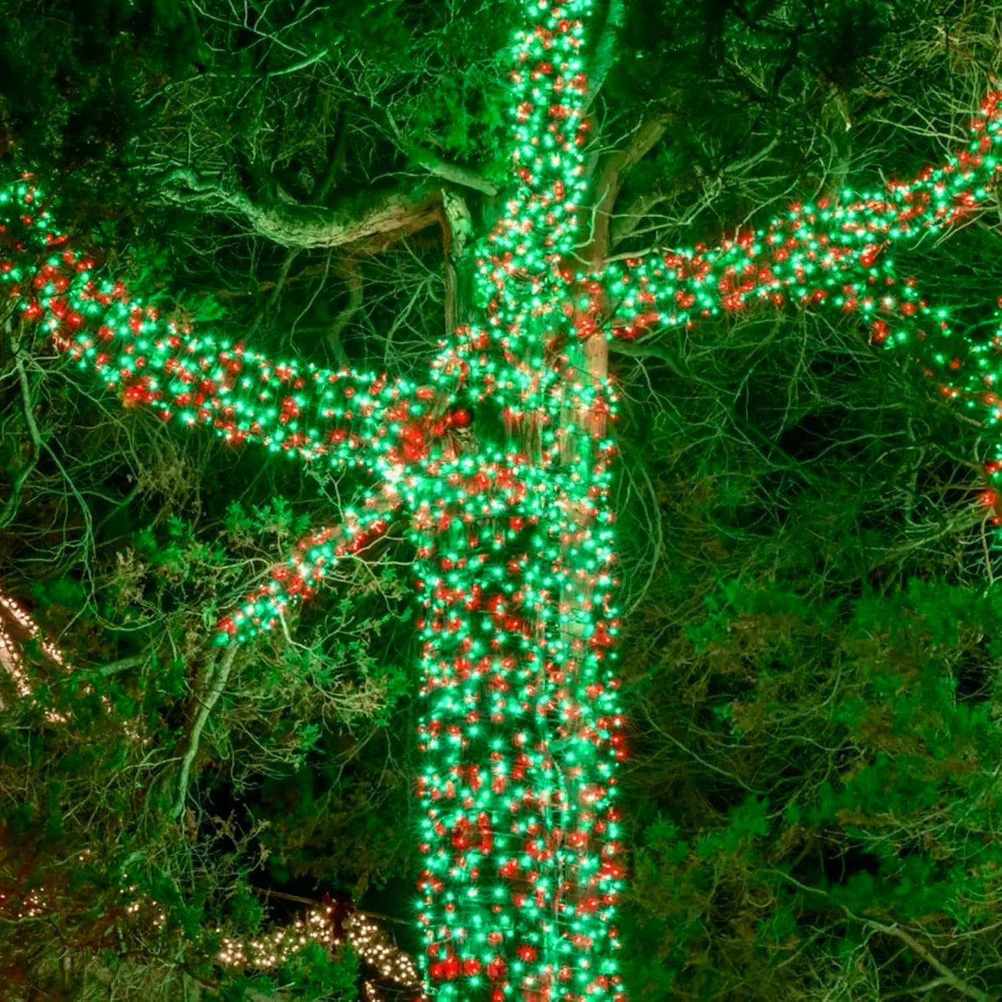 75.8 FT 200 LED Red and Green Christmas Lights Indoor Outdoor, Timer & Memory Function & 8 Modes, Extendable Green Wire, Waterproof Fairy Twinkle String Light for Xmas Tree Holiday Party Garden Yard