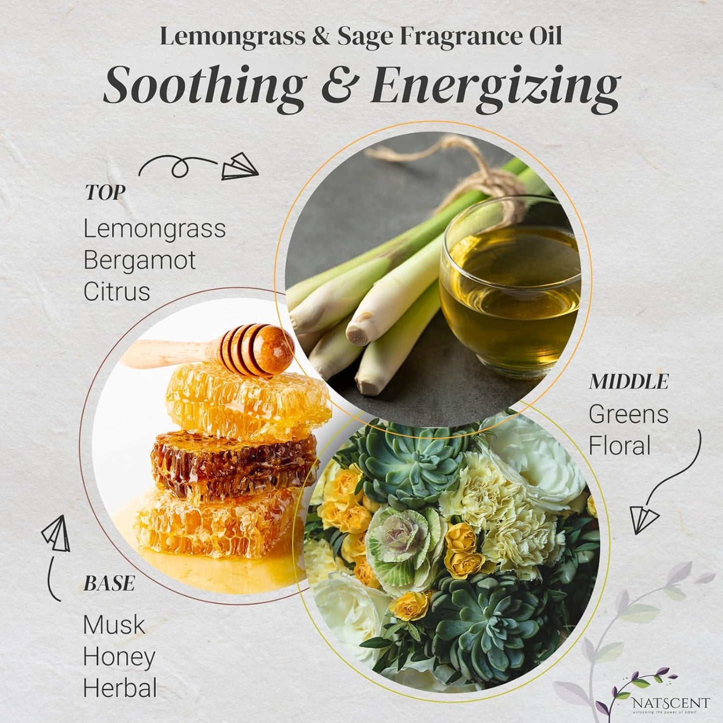 Lemongrass & Sage Essential Oils for Diffusers for Home, Nature-derived Essential Oil, Long-Lasting & Family-Friendly Diffuser Oils Scents, IFRA Certified, Cold Air & Ultrasonic - 16 oz
