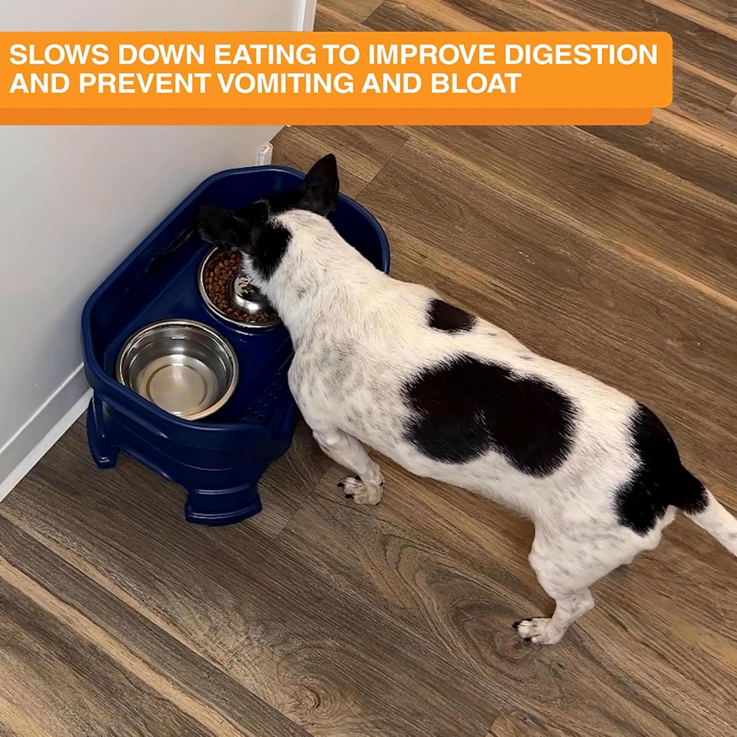 Neater Pet Brands Stainless Steel Slow Feed Dog Bowl for Fast Eating Medium Breed, Metal Slow Feeder Dog Bowl Fits in Medium Neater Feeder Deluxe, for Puppy or Dogs (19-40 lbs), 1 Cup Food Capacity