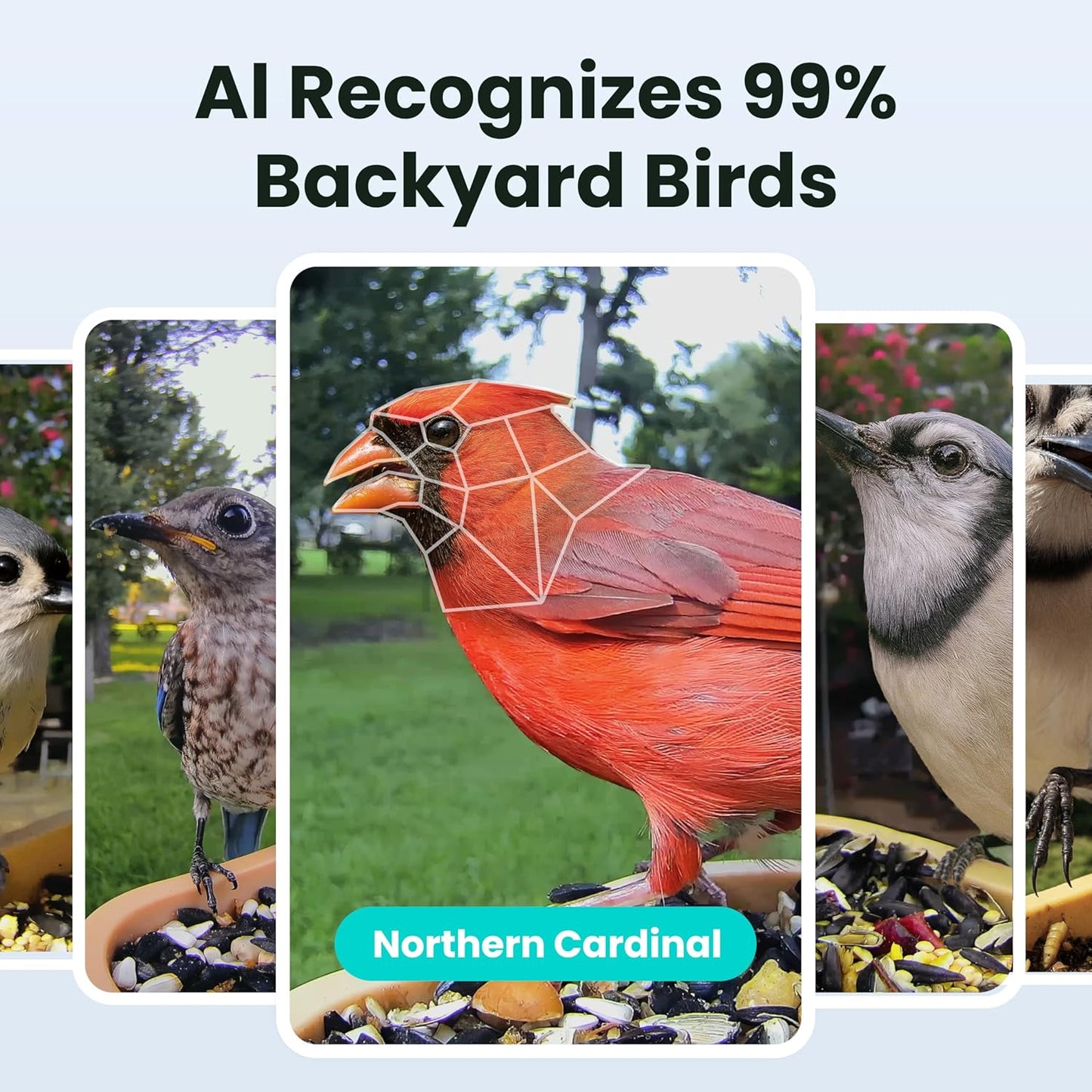 Birdfy Smart Bird Feeder with Camera for Rookie, Camera Bird Feeder Dual Night Vision, AI Recognition IP66 Waterproof for BirdLovers (Lifetime Free AI)