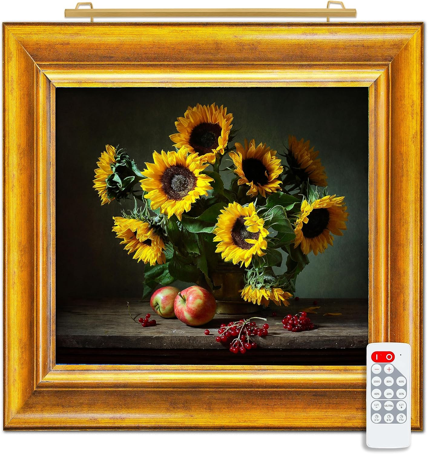 Situ Lighting: Plug-in Vision Series Remote Controlled LED Art and Picture Light - USA Made - Color Tuning 2700K - 4000K